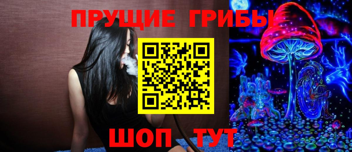 Галлюциногенные грибы Psilocybine cubensis Тимашёвск